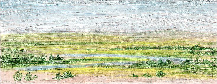 coloredpencilonwood2-carrielewis