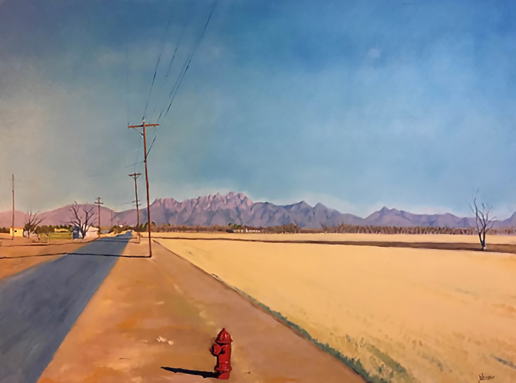 New Mexico colors