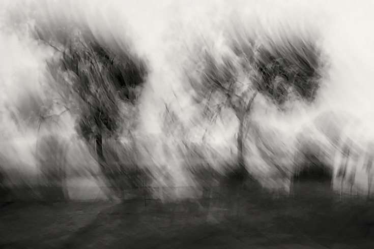 Soft Rain