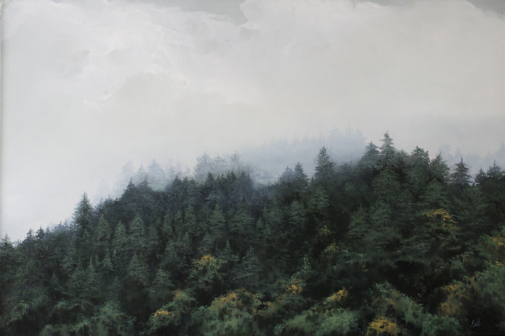 A forest of evergreens receding into the mist